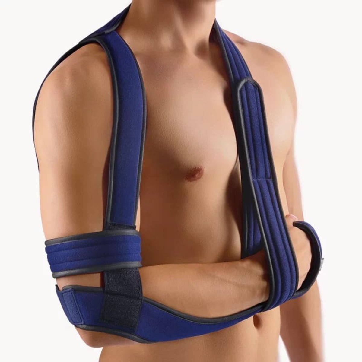 BORT OmoBasic kaufen