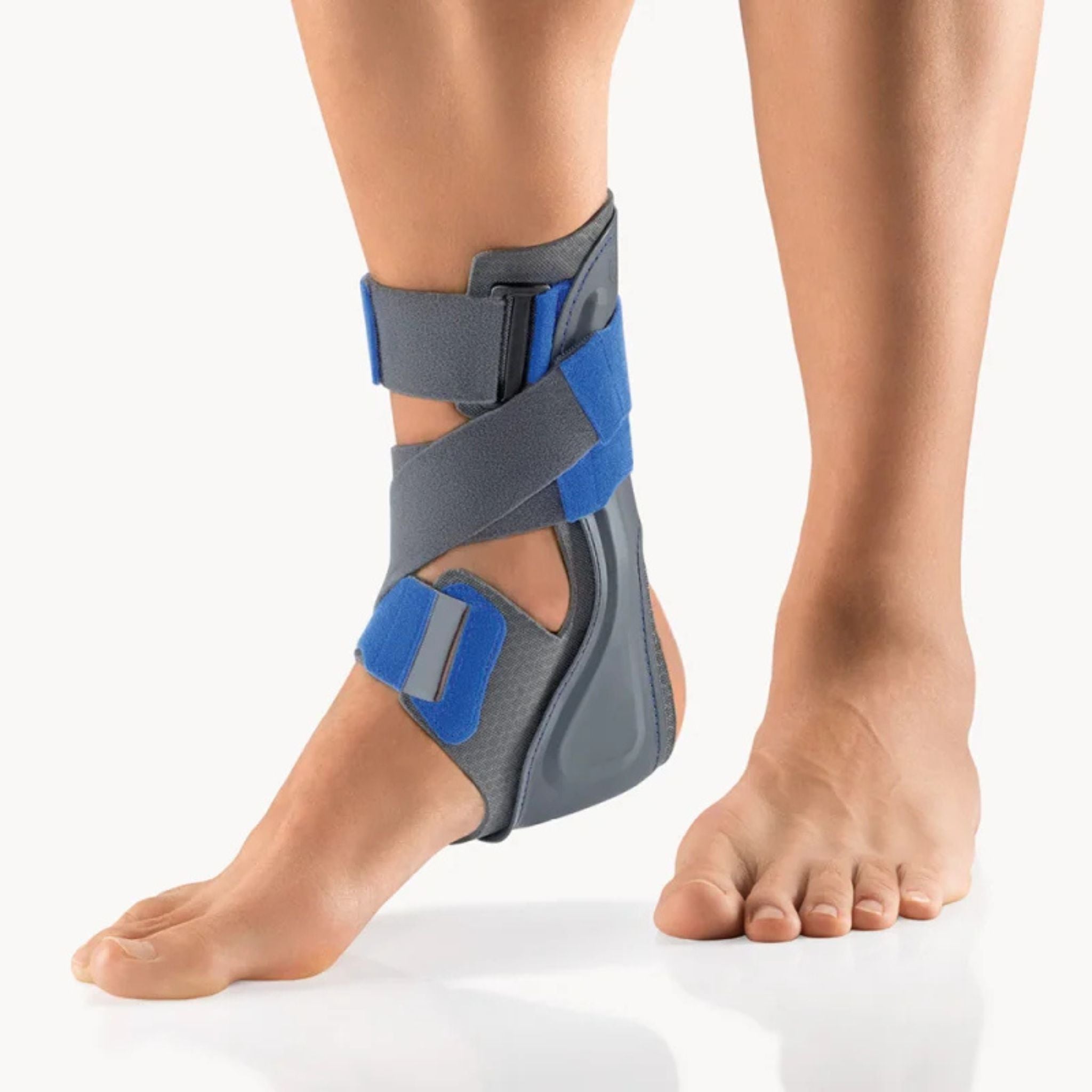 BORT TaloXpress kaufen