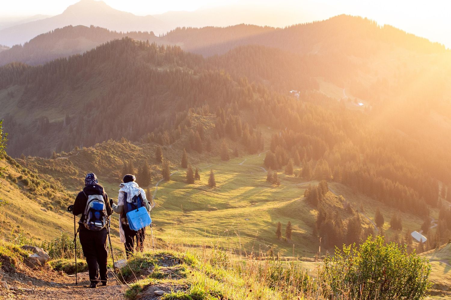 Wanderschuh Einlegesohlen